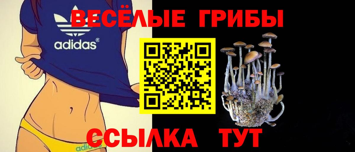 Россошь  Галлюциногенные грибы мицелий  Вход с VPN  Псилоцибиновые грибы Psilocybe 
